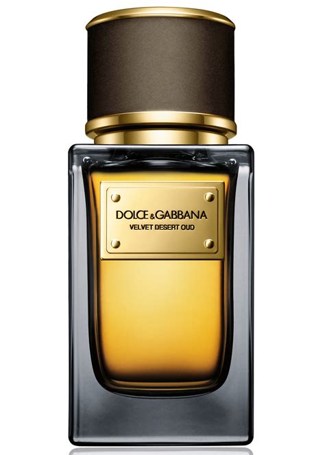 velvet desert oud by dolce & gabbana